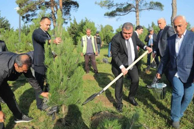 Xətai rayonunda Zəfər Gününə həsr olunmuş ağacəkmə aksiyası baş tutub