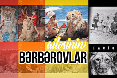 Evlərində şir saxlayan bakılı ailənin faciəsi