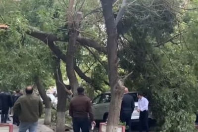 Nərimanovda güclü külək ağacı avtomobilin üstünə aşırıb