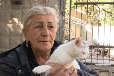 Bakıda yaşlı qadın dörd pişiklə birgə bir ildən çoxdur ki, küçədə qalır – VİDEO