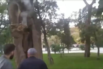 Sahil bağında ağacı yandırmaq istəyiblər