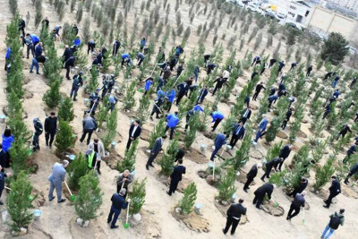 Bakıda Zəfər Günü şərəfinə ağacəkmə aksiyası keçirilib