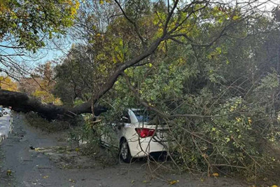 Nərimanovda güclü külək zamanı köhnə ağac avtomobilin üzərinə aşıb