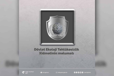 Nəsimi rayonunda 7 ağac qanunsuz şəkildə kəsilib