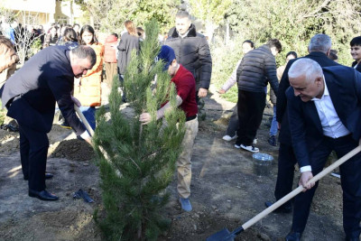 Xətai rayonunda 800 ağac əkilib