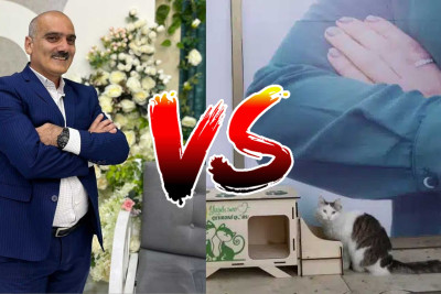 Xəbər portalının baş redaktoru evsiz heyvanlar üçün sığınacaqların quraşdırılmasına qarşı çıxıb