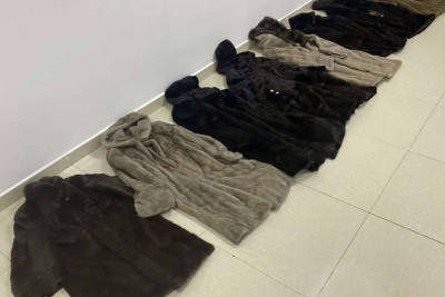 Ölkəyə qanunsuz “şuba” gətirmək istəyiblər