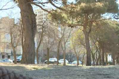 Nizamidə baxımsız park: dincəlmək istəyən sakinlər məcburən başqa məkanlara üz tuturlar – VİDEO