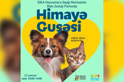 Zooparkda sahibsiz heyvanlara yiyələnmək istəyənlər üçün növbəti himayə guşəsi təşkil olunacaq