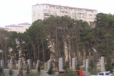 Məktəb həyətində qurumuş ağaclar həm şagirdlər, həm də ətrafda yaşayanlar üçün təhlükə mənbəyinə çevrilib – VİDEO