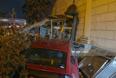 Heydər Əliyev prospektində “Prius” ağacı yerindən qoparıb