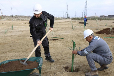 Balaxanıda “COP29” ilə əlaqədar yaşıllaşdırma işləri aparılır
