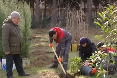 Mərkəzi Nəbatat Bağında hansı 3 bitki xüsusi sayılır?