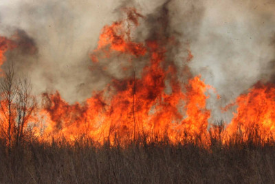 Səbaildə evlər və neft buruqları yanğından qorunub