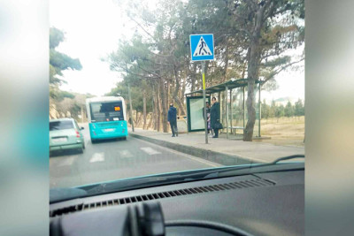 Avtobus dayanacağı və piyada zolağı eyni sıradadır