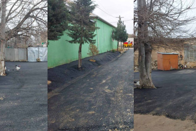 Əmircanda ağacların asfaltlanmış dibləri təmizlənib