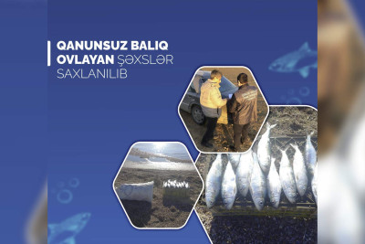Bakı sakini balıq ovuna görə tutulub