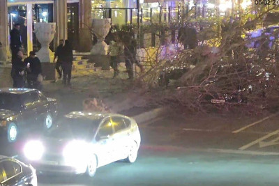 Nərimanovda ağac maşının üzərinə aşıb