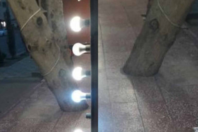 Xətaidəki ağacın dibi təmizlənib – YENİLƏNİB – FOTO