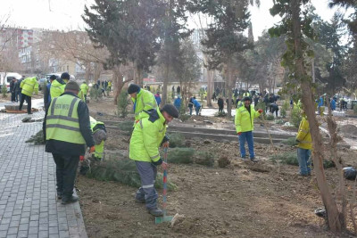Xətaidə 500-dən çox ağac əkilib