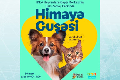Zooparkda növbəti “Himayə Guşəsi” sərgisi baş tutacaq