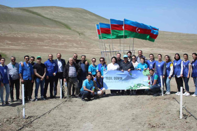 Müşfiqabad qəsəbəsində növbəti ağacəkmə aksiyası keçirilib