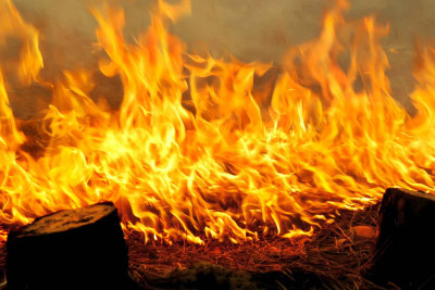 Sabunçu rayonunda tövlədə yanğın olub