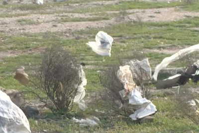 Binə – Qala yolunun ətrafı zibil poliqonuna çevrilib