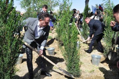 Nərimanovda 101 şam ağacı əkilib