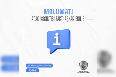 Nərimanovda obyekt sahibi qanunsuz ağac kəsib