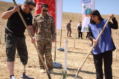 Müşfiqabad qəsəbəsində daha bir ağacəkmə aksiyası keçirilib