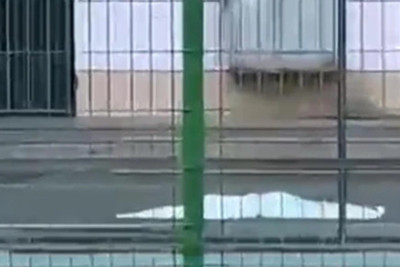 Binəqədi: Cəfər Xəndan küçəsində qadın özünü binadan atıb