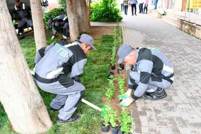 Bakıda daha bir şəhər iməciliyi keçirilib