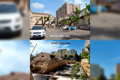 Nəsimidə ağaclar məhv edilib