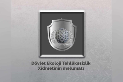 Yasamalda ağacların qanunsuz kəsilmə faktı qeydə alınıb