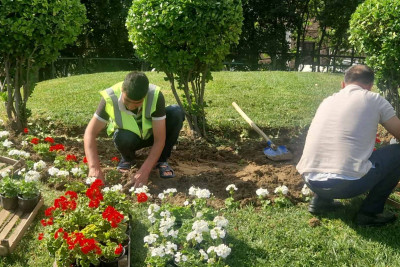 Nəsimidə küçəyə güllər əkilib