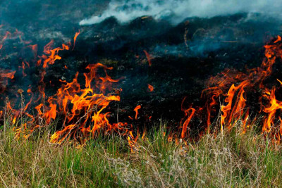 Binəqədi rayonunda həyatyanı ərazidə yanğın olub