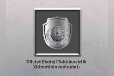 Nəsimidə qanunsuz ağac kəsən şirkətlər barəsində tədbirlər görülür