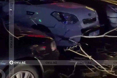 Bakıda küləyə görə ağac qırılıb