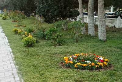 Xəzərdə genişmiqyaslı abadlıq işlərinə başlanılıb