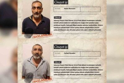 Bilgəhdə çətənə kolu yetişdirən şəxslər tutulublar