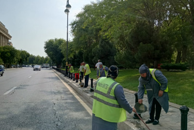 Nəsimi rayonunda təmizlik-abadlıq işləri aparılıb