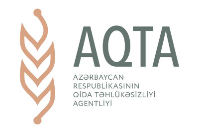 Binəqədidə bir nəfərə məxsus bir neçə obyektdə nöqsanlar aşkarlanıb