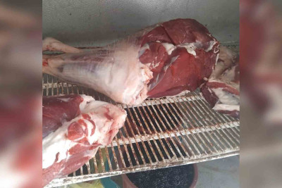 Bakıda qanunsuz ət kəsiminə qarşı reyd keçirilib