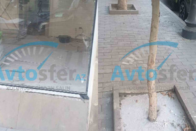 Bakıda obyekt sahibi ağacın dibini betonlayıb, yerə kimyəvi vasitələr töküb