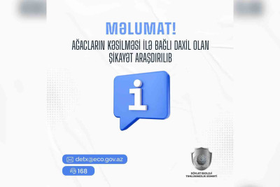 Yasamalda ağaclar kəsilib: cinayət işi hazırlanır