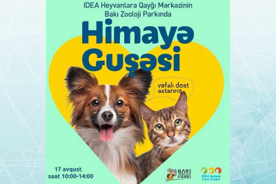 Bakı Zooloji Parkında növbəti “Himayə Guşəsi” sərgisi keçirilicək