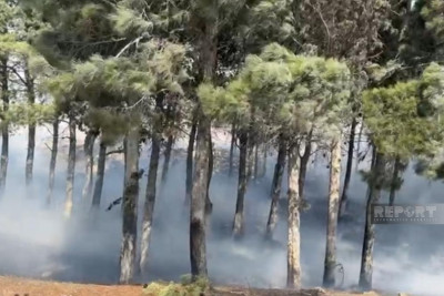Bakı-Sumqayıt yolunda açıq sahədə yanğın olub