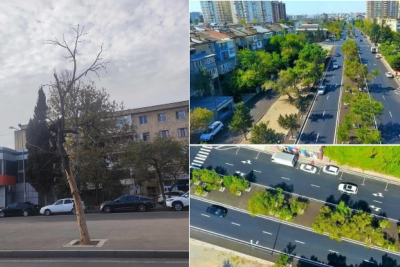 Nərimanovda yaşıllıqları məhv edirlər?