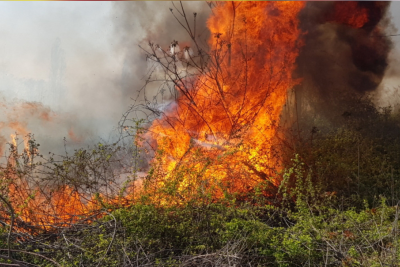 Suraxanıda açıq sahədə yanğın başlayıb